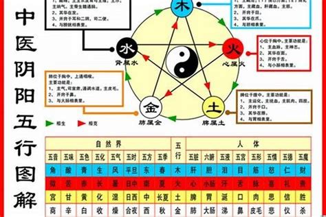 1984海中金|海中金命84年的命数，84年属鼠人一生命运